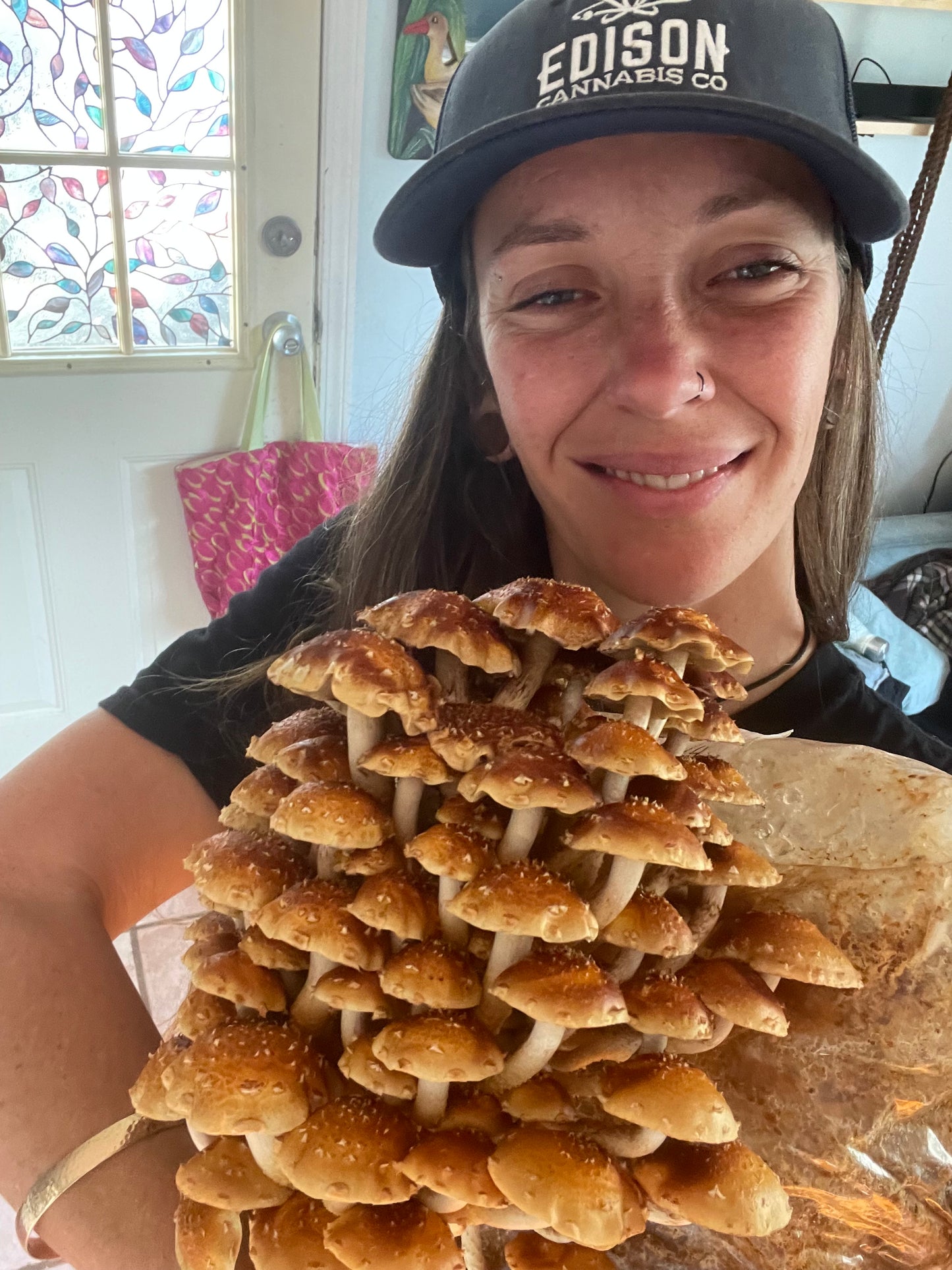 4lb Colonized Chestnut Grain Spawn