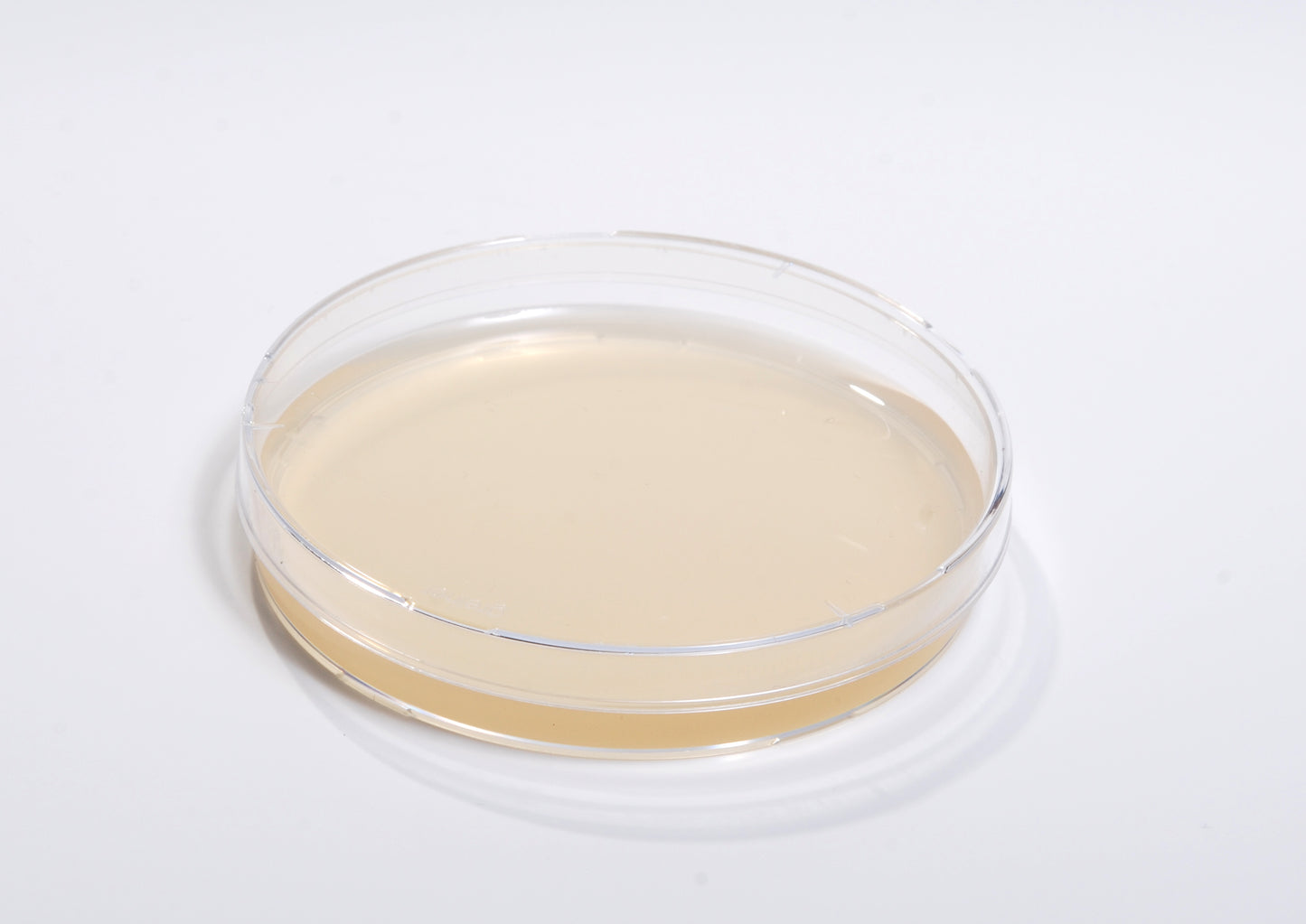 Sterilized Agar Plates