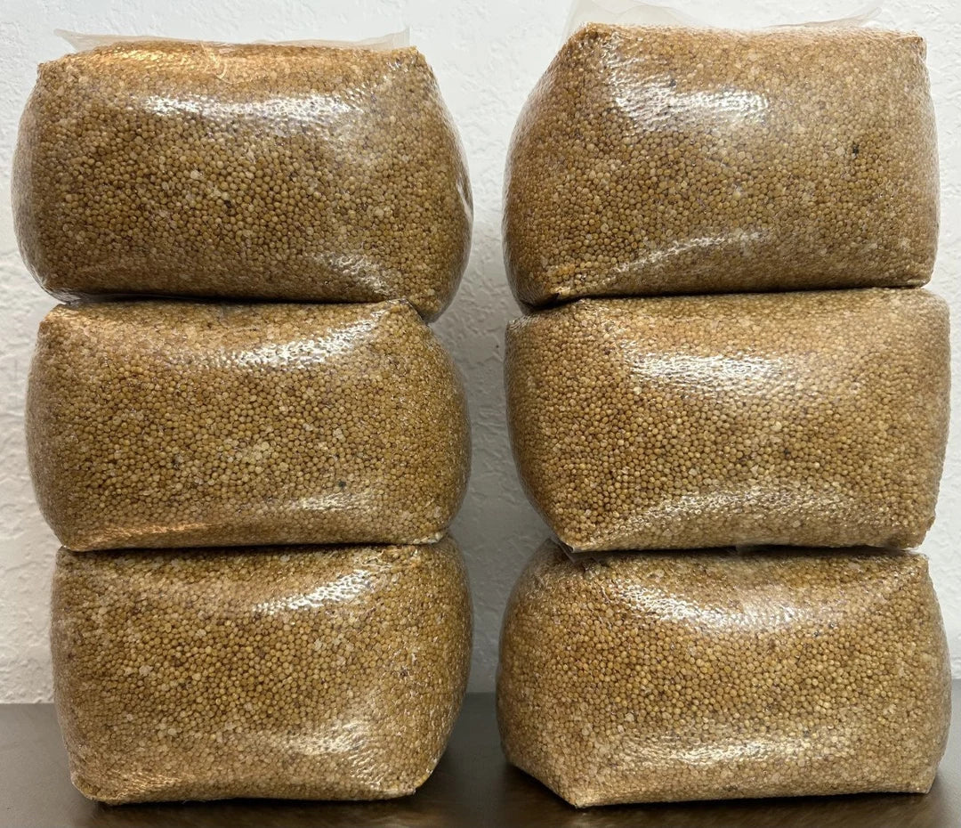 Sterilized Millet Grain.