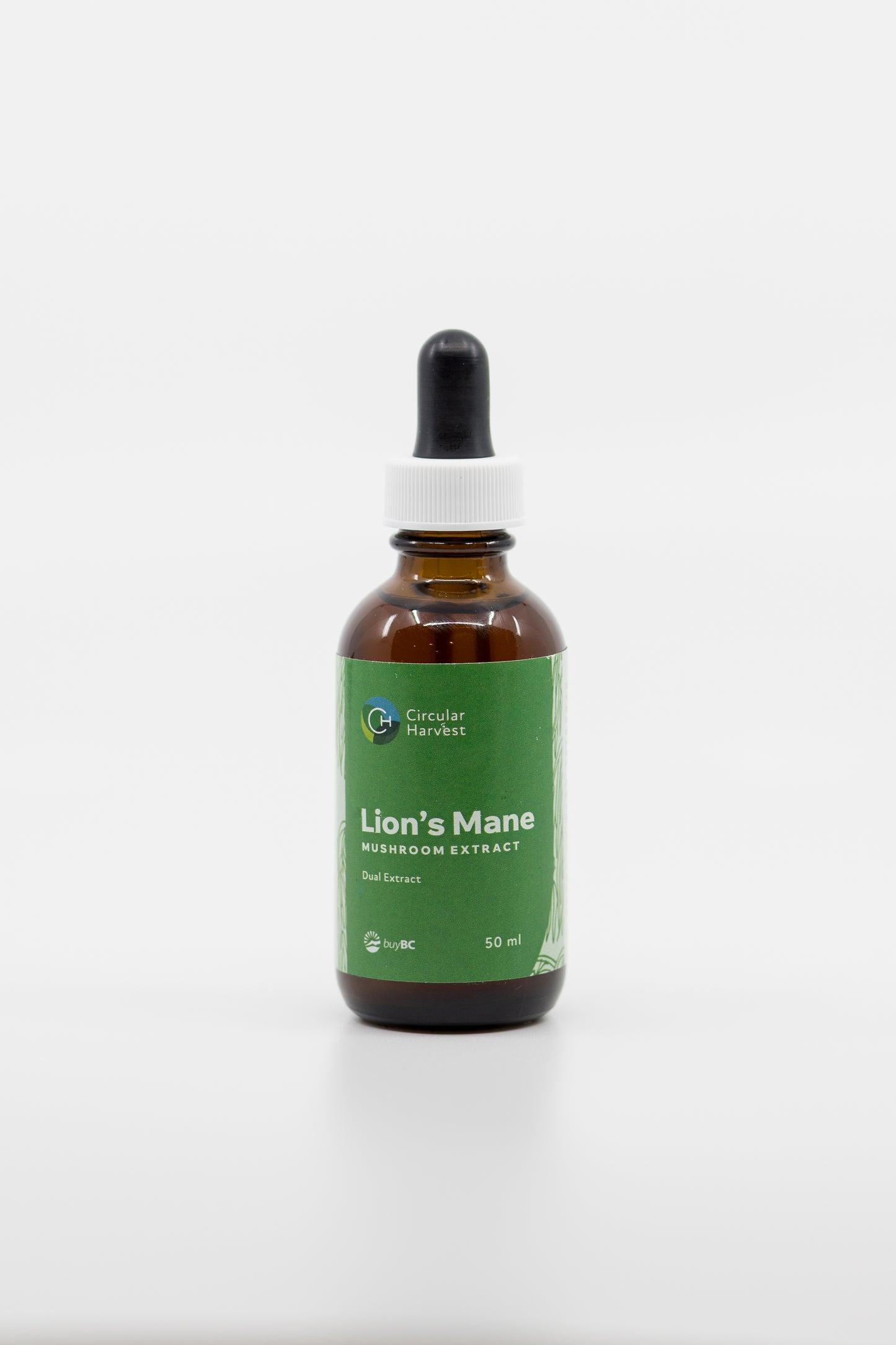 Lions Mane Extract