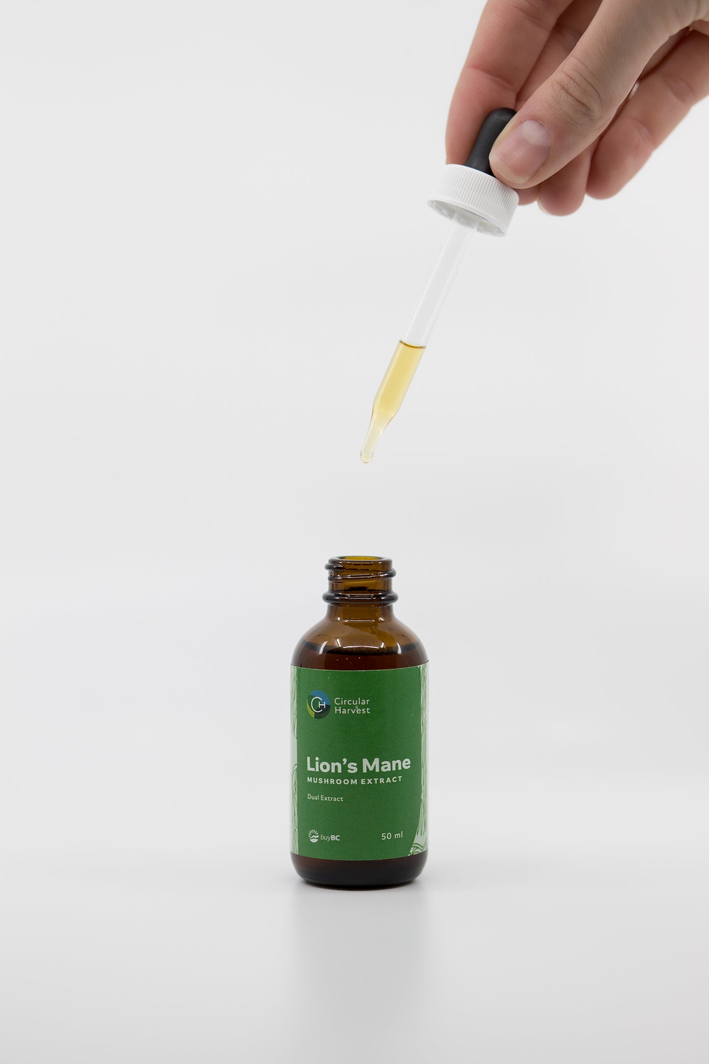 Lions Mane Extract