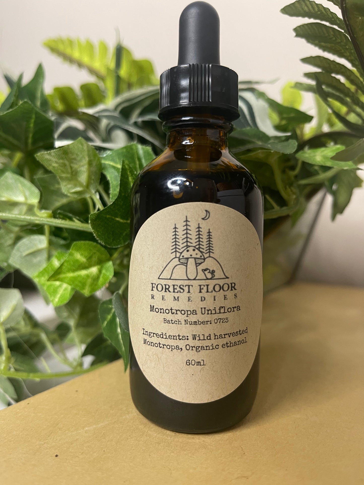 Monotropa Extract