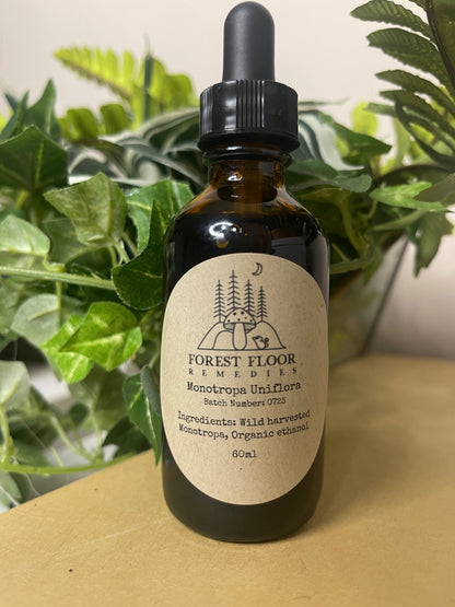 Monotropa Extract